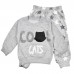 Комплект Cool Cats (кофта, штаны) 377 серый
