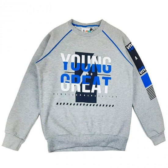 Кофта спортивная Young 38528 на флисе серая