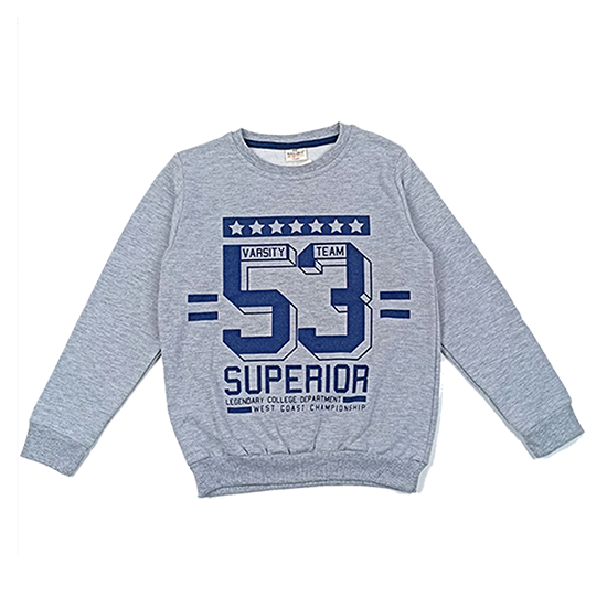 Кофта спортивная 8206 на флисе голубая